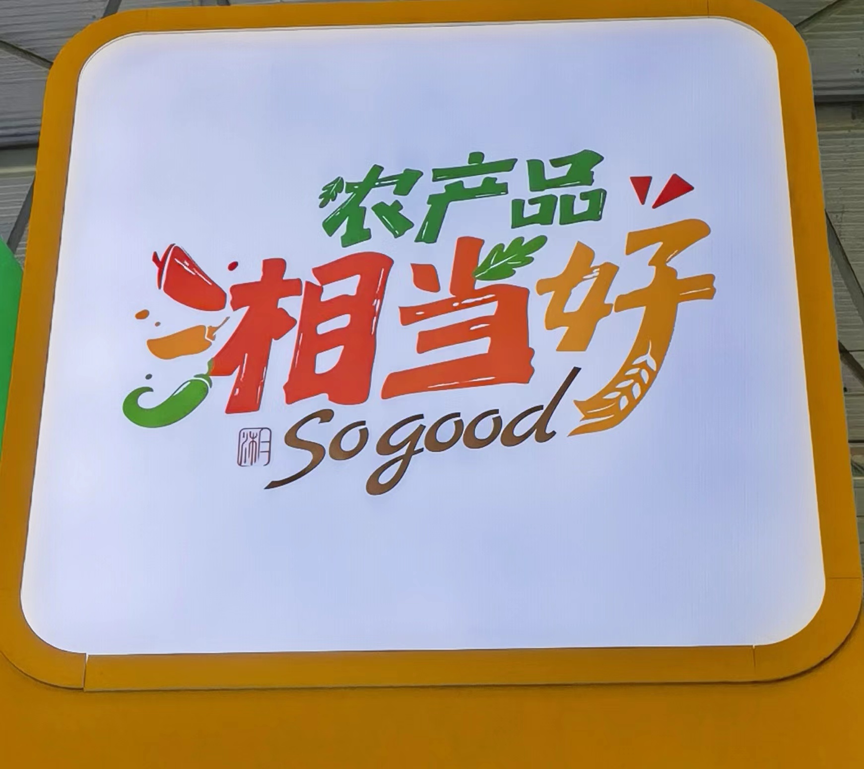 微信圖片_20240925131929.jpg